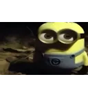 __