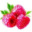 raspberry