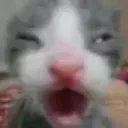 kit_AUGH