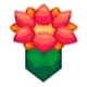 Sunpetal