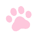 1338paw
