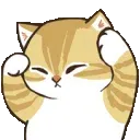 1_catannoyed