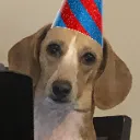 party party