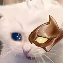 TR_Rengar_sad_cat