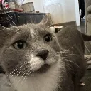 ParisStare