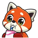 2210redpandadrink