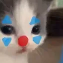 clown clown