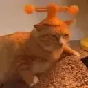 braincellrecharging