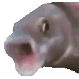:pogfish: