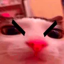 angry_plink angry_plink