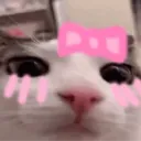 cute_plink