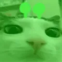 glorp_plink_2