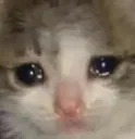 cry