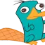 perry