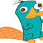 :perry: