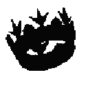 :BlackCrown: