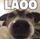 :LAOO: