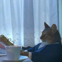 :cat: