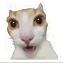 emoji_21