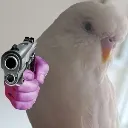 birbgun