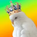kingbirb