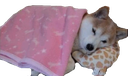 :goodnight: