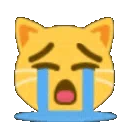 <a:catsobs:1477730104938467440>