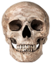 :skullreal: