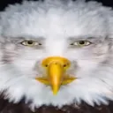 son