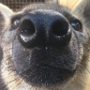 yeenlook