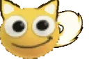 waga