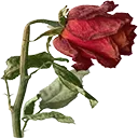wiltedroseHD