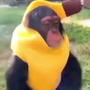 :Bansana: