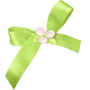 imageremovebgpreview66