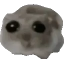 ohh