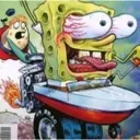 sponge
