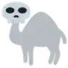 skullcamel