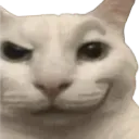 catsmirk