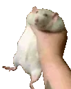 RatShake
