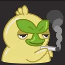 browtsmoke