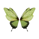 dnsdnc_butterflywings