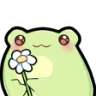 dnsdnc_frogflower