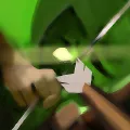 snipe snipe