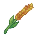 wheat