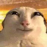 catsmile