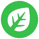 PKM_GrassType