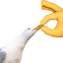 shut