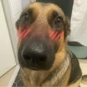 Bwush