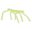 stickbug