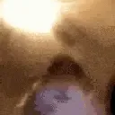 lol